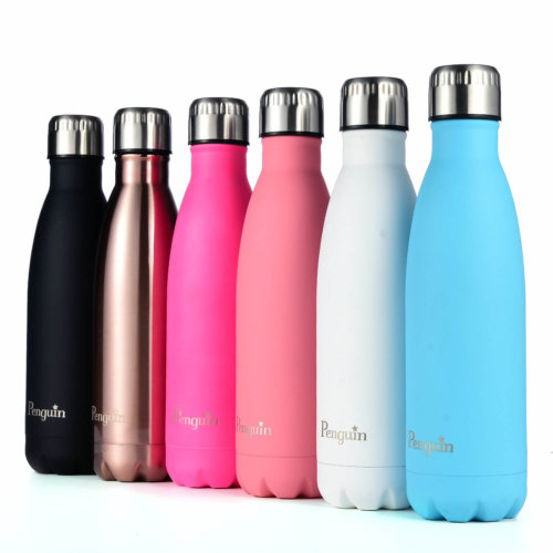 Stainless Steel Thermal Travel Bottle